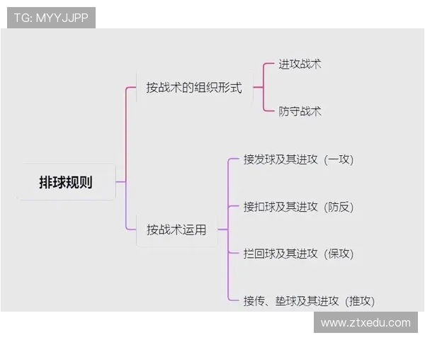 成都排球队节奏对比深度解析与战术探讨